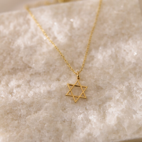 Judaism symbol the star of david necklace 1