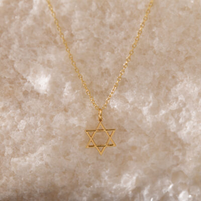 Judaism symbol the star of david necklace 2